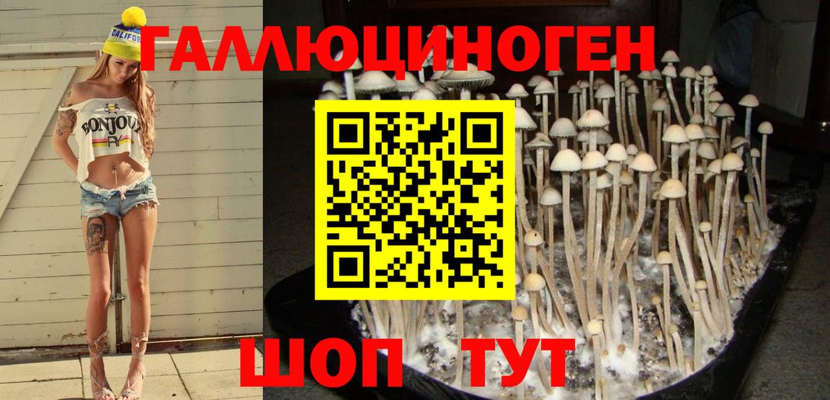 Галлюциногенные грибы Cubensis Заводоуковск